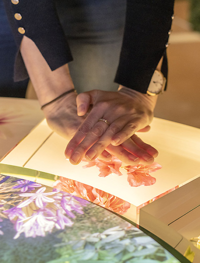 Ausstellung The Story of Gardening in Somerset von Kossmanndejong