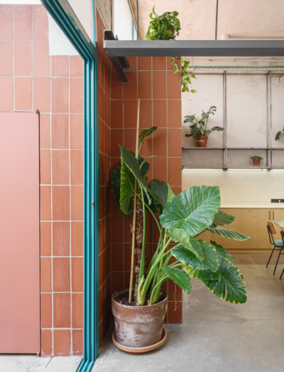 Eventagentur in Sevilla von Estudio Reondo
